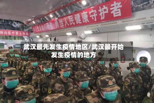 武汉最先发生疫情地区/武汉最开始发生疫情的地方
