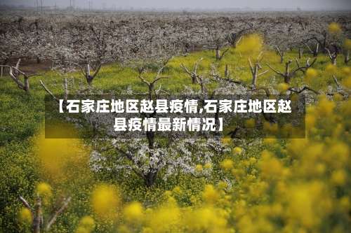 【石家庄地区赵县疫情,石家庄地区赵县疫情最新情况】-第3张图片