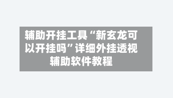 辅助开挂工具“新玄龙可以开挂吗”详细外挂透视辅助软件教程