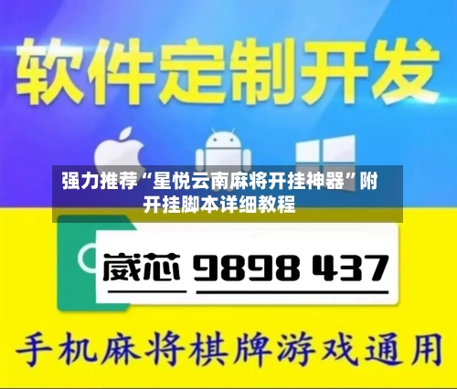 强力推荐“星悦云南麻将开挂神器	”附开挂脚本详细教程-第2张图片