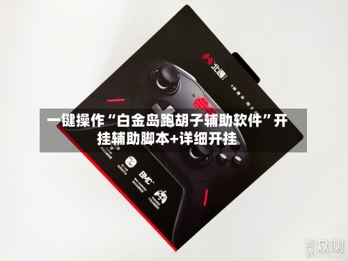 一键操作“白金岛跑胡子辅助软件”开挂辅助脚本+详细开挂-第2张图片