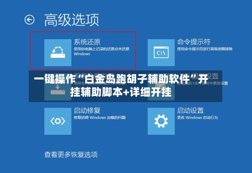 一键操作“白金岛跑胡子辅助软件”开挂辅助脚本+详细开挂