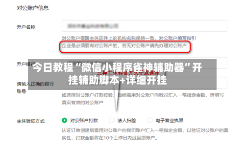 今日教程“微信小程序雀神辅助器”开挂辅助脚本+详细开挂-第2张图片