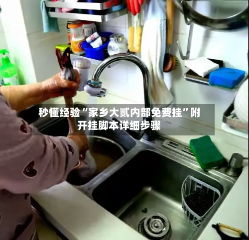 秒懂经验“家乡大贰内部免费挂”附开挂脚本详细步骤-第2张图片