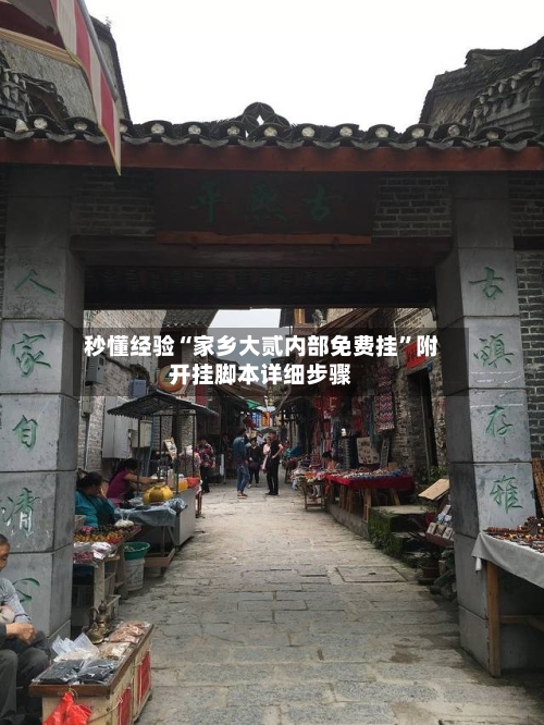 秒懂经验“家乡大贰内部免费挂”附开挂脚本详细步骤