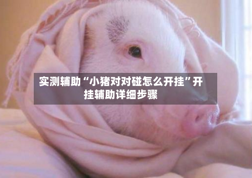 实测辅助“小猪对对碰怎么开挂”开挂辅助详细步骤