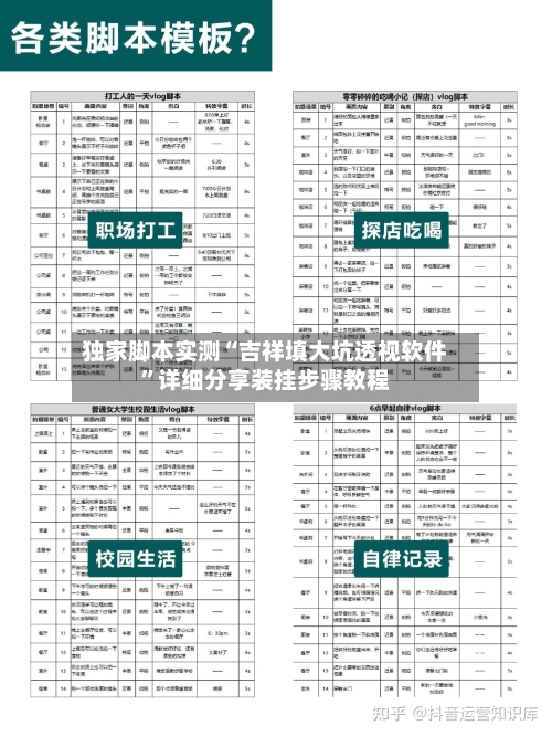 独家脚本实测“吉祥填大坑透视软件	”详细分享装挂步骤教程-第3张图片