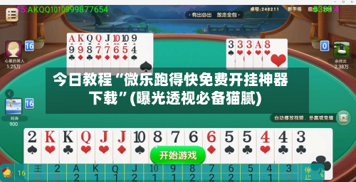 今日教程“微乐跑得快免费开挂神器下载”(曝光透视必备猫腻)-第3张图片