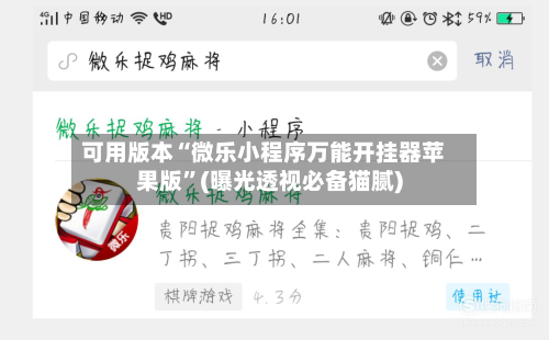 可用版本“微乐小程序万能开挂器苹果版”(曝光透视必备猫腻)-第3张图片