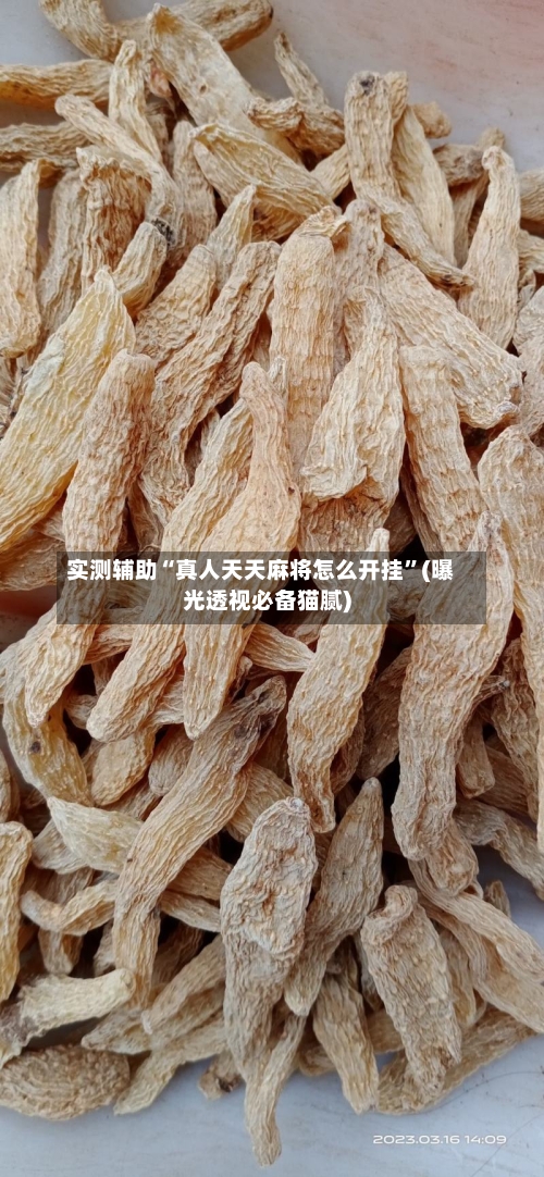 实测辅助“真人天天麻将怎么开挂”(曝光透视必备猫腻)