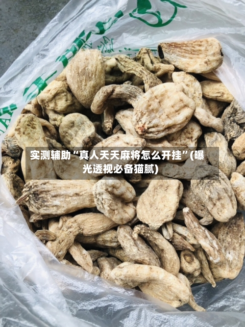 实测辅助“真人天天麻将怎么开挂”(曝光透视必备猫腻)-第2张图片