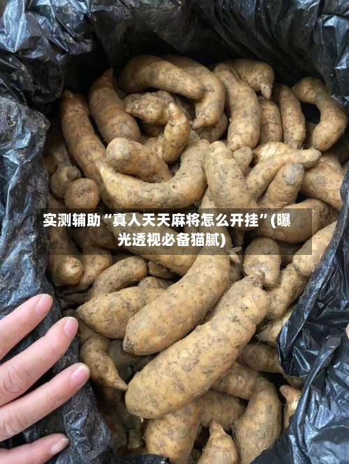 实测辅助“真人天天麻将怎么开挂”(曝光透视必备猫腻)-第3张图片