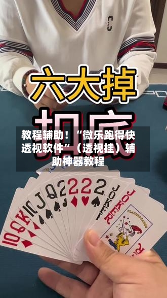 教程辅助！“微乐跑得快透视软件”（透视挂）辅助神器教程-第3张图片