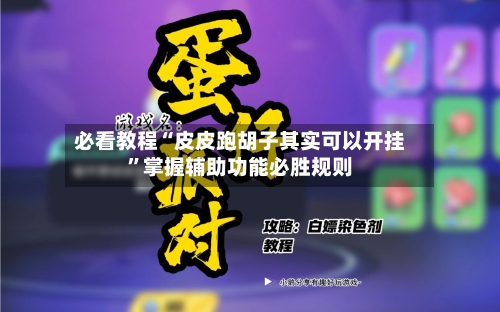 必看教程“皮皮跑胡子其实可以开挂	”掌握辅助功能必胜规则-第2张图片