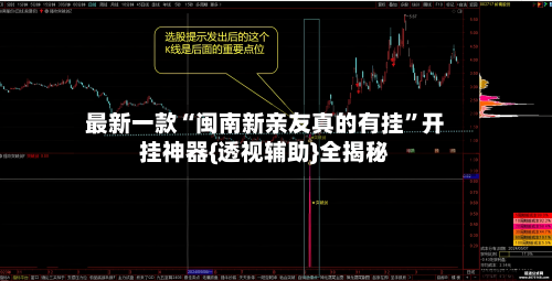 最新一款“闽南新亲友真的有挂”开挂神器{透视辅助}全揭秘-第2张图片