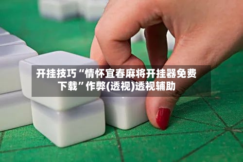 开挂技巧“情怀宜春麻将开挂器免费下载”作弊(透视)透视辅助-第3张图片