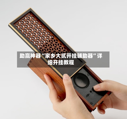 助赢神器“家乡大贰开挂辅助器”详细开挂教程