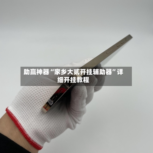 助赢神器“家乡大贰开挂辅助器	”详细开挂教程-第2张图片