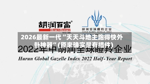 2026最新一代“天天斗地主跑得快外卦神器”(原来确实是有插件)-第3张图片