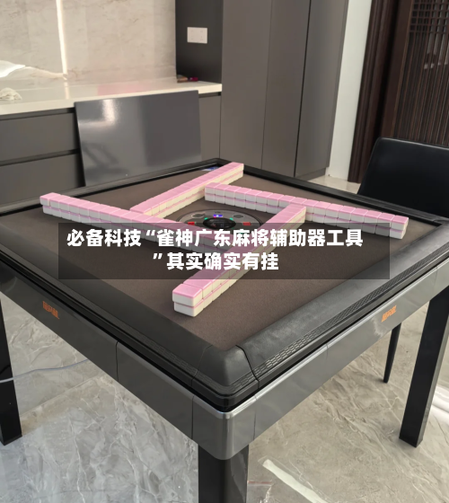 必备科技“雀神广东麻将辅助器工具	”其实确实有挂-第2张图片