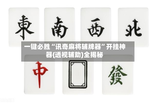 一键必胜“讯奇麻将辅牌器”开挂神器{透视辅助}全揭秘-第2张图片