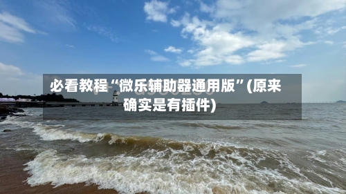 必看教程“微乐辅助器通用版”(原来确实是有插件)-第3张图片