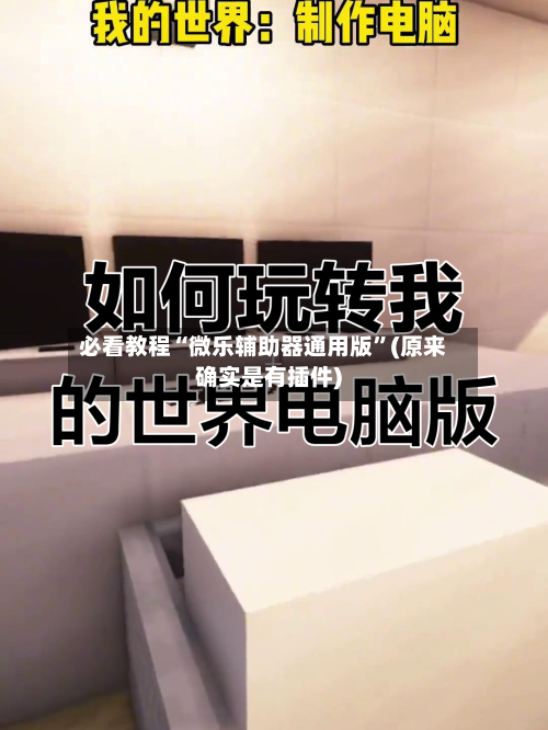 必看教程“微乐辅助器通用版”(原来确实是有插件)-第2张图片