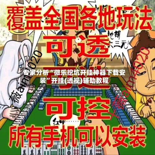 专家分析“微乐挖坑开挂神器下载安装”开挂(透视)辅助教程-第2张图片