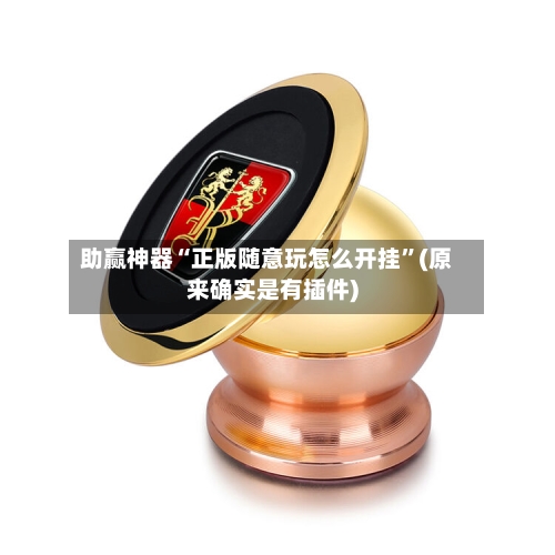 助赢神器“正版随意玩怎么开挂”(原来确实是有插件)-第2张图片