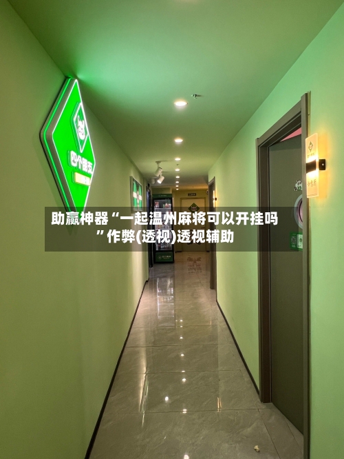 助赢神器“一起温州麻将可以开挂吗	”作弊(透视)透视辅助-第3张图片