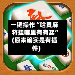 一键操作“哈灵麻将挂哪里有有买	”(原来确实是有插件)-第2张图片