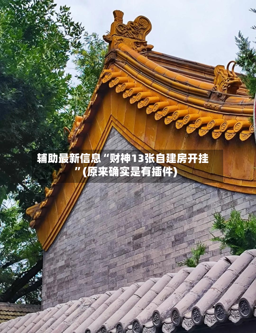 辅助最新信息“财神13张自建房开挂”(原来确实是有插件)-第2张图片