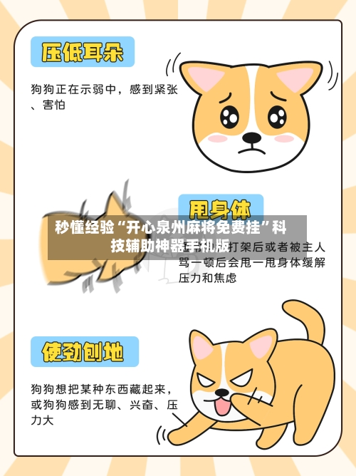 秒懂经验“开心泉州麻将免费挂”科技辅助神器手机版-第3张图片