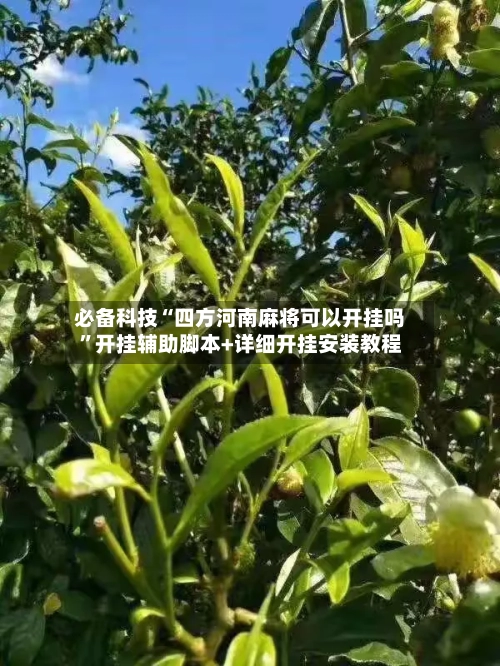 必备科技“四方河南麻将可以开挂吗”开挂辅助脚本+详细开挂安装教程-第2张图片
