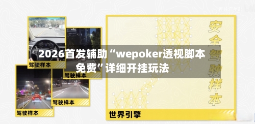 2026首发辅助“wepoker透视脚本免费	”详细开挂玩法-第2张图片