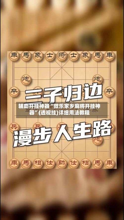 辅助开挂神器“微乐家乡麻将开挂神器”(透视挂)详细用法教程-第2张图片