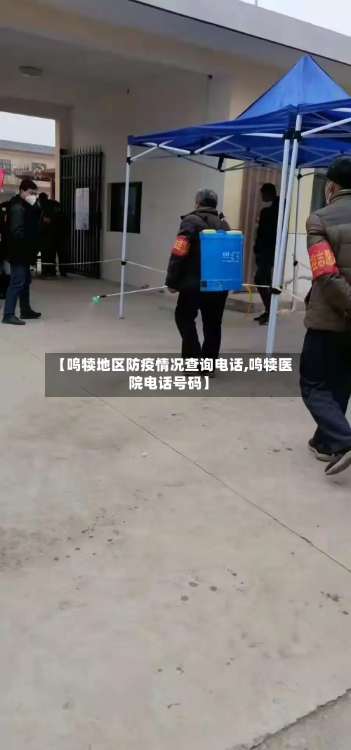 【鸣犊地区防疫情况查询电话,鸣犊医院电话号码】