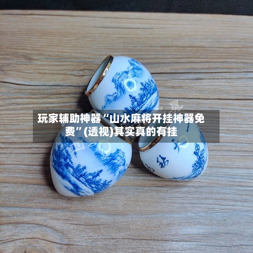 玩家辅助神器“山水麻将开挂神器免费”(透视)其实真的有挂-第2张图片