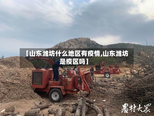 【山东潍坊什么地区有疫情,山东潍坊是疫区吗】-第2张图片