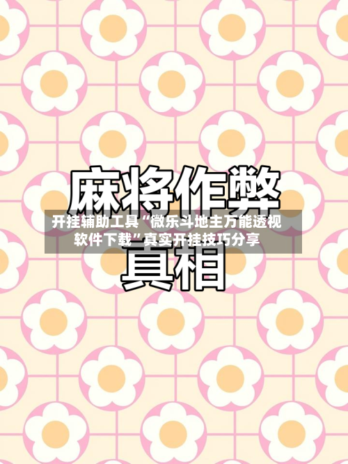 开挂辅助工具“微乐斗地主万能透视软件下载”真实开挂技巧分享-第3张图片