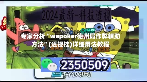 专家分析“wepoker德州局作弊辅助方法”(透视挂)详细用法教程-第2张图片