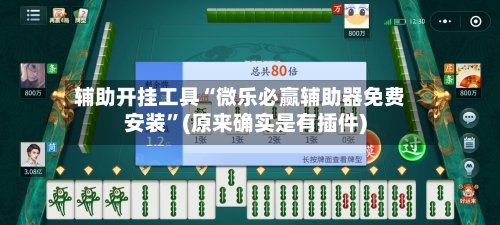 辅助开挂工具“微乐必赢辅助器免费安装”(原来确实是有插件)-第3张图片