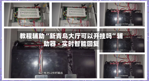 教程辅助“新青鸟大厅可以开挂吗	”辅助器 - 实时智能回复-第2张图片