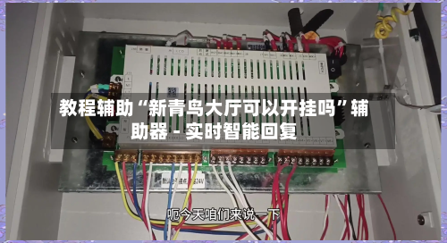 教程辅助“新青鸟大厅可以开挂吗”辅助器 - 实时智能回复-第3张图片