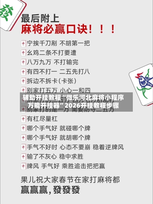 辅助开挂教程“微乐河北麻将小程序万能开挂器”2026开挂教程步骤-第2张图片