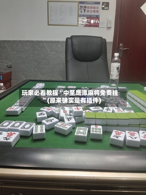玩家必看教程“中至鹰潭麻将免费挂”(原来确实是有插件)-第2张图片