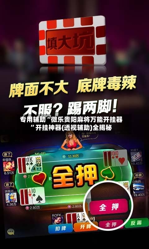 专用辅助“微乐贵阳麻将万能开挂器”开挂神器{透视辅助}全揭秘-第2张图片