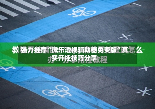 强力推荐“微乐透视辅助器免费版”真实开挂技巧分享-第2张图片