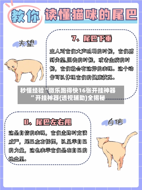 秒懂经验“微乐跑得快16张开挂神器”开挂神器{透视辅助}全揭秘-第2张图片