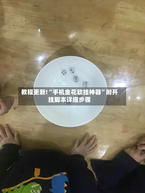 教程更新!“手机金花软挂神器”附开挂脚本详细步骤-第2张图片